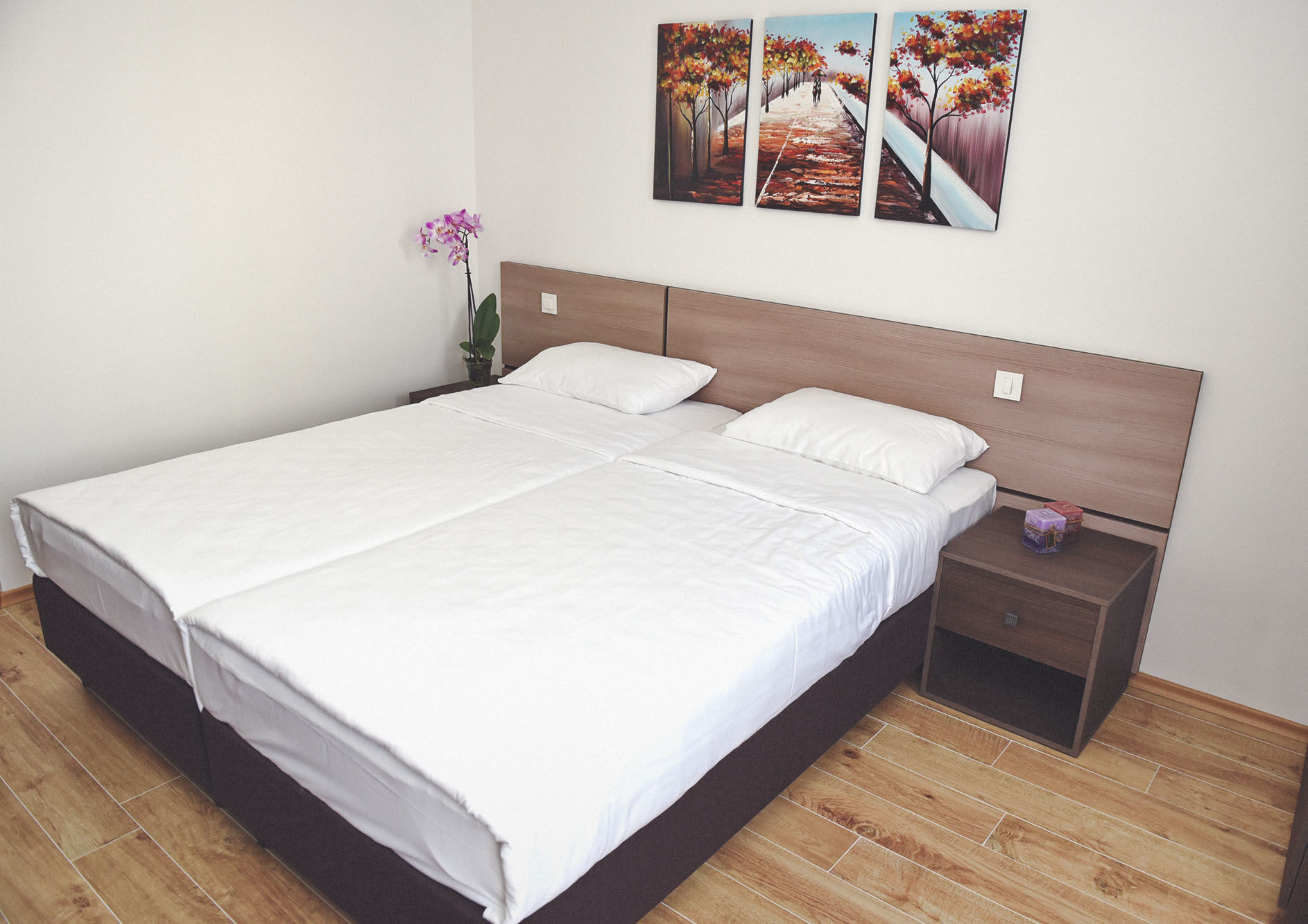 Boutique Villa Arte Ohrid Ngoại thất bức ảnh
